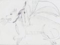 my_first_dragon_by_dragea-d4hbuls.jpg
